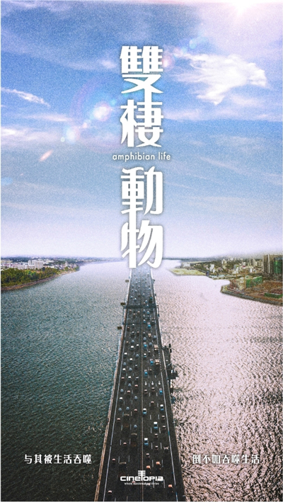 圖說如下
